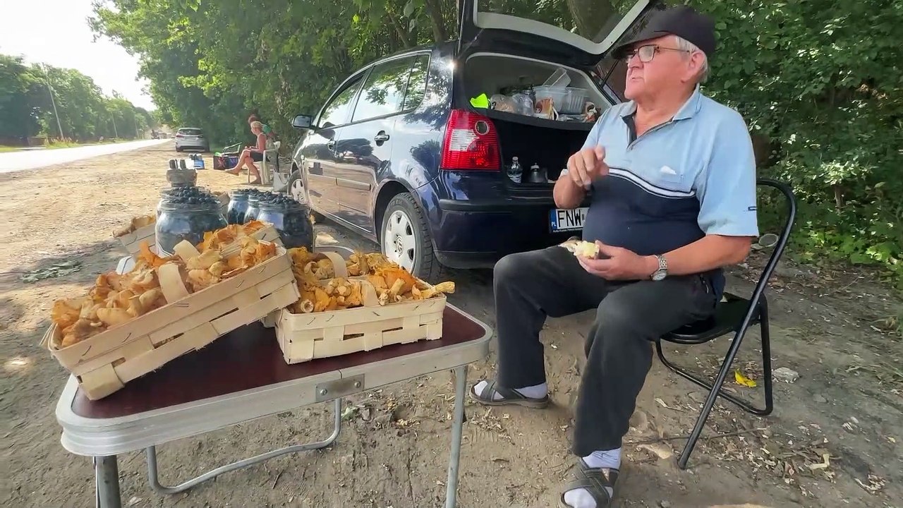 Gazeta Lubuska. Lubuskie. Grzyby w lasach? Nie ma ich. Trzeba wiedzieć, gdzie szukać