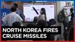 North Korea fires 'several cruise missiles' into sea