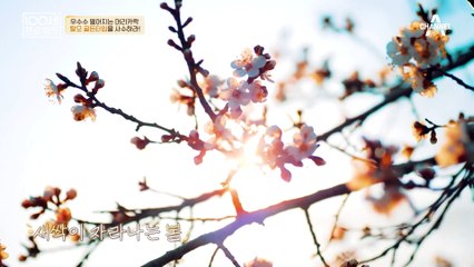 탈모가 생기는 원인은? 지피지기면 백전백승! 탈모를 이겨내는 방법은?