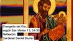 Evangelio del Día, según San Mateo 13, 24-30 - Cardenal Daniel Sturla (23/07/2023)