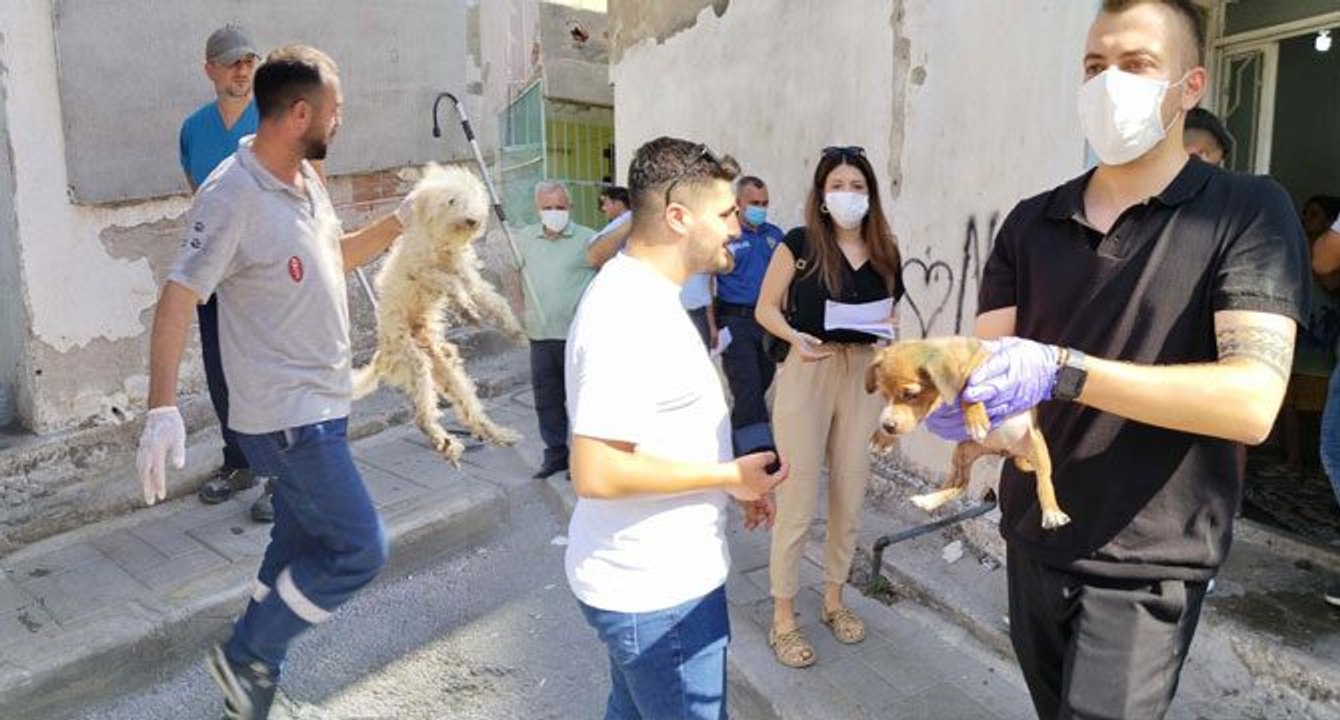 Kötü koşullarda yetiştirilen ‘can dostlar’ kurtarıldı