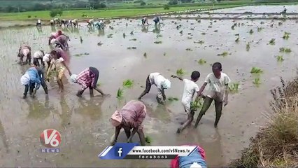 School Children Sowing Paddy Seeds In Farm Due To Holiday  _ V6 News (1)