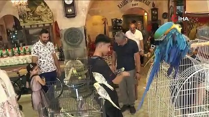 Temmuz günü soba yaktılar! Dışarısı 45 içerisi 15 derece
