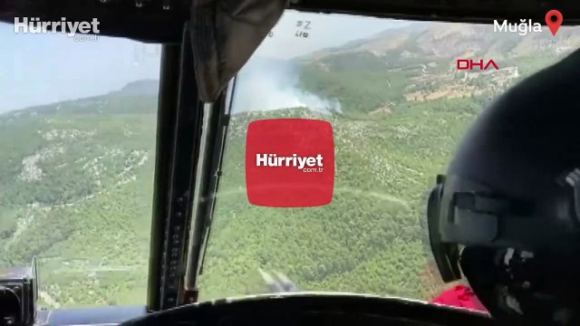 Muğla Milas'ta orman yangını