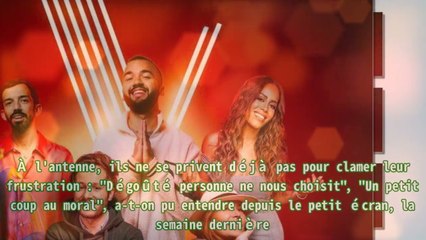 The Voice : "L'impression de débarquer dans une classe en cours d'année..." Bigflo et Oli se confi