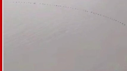 बालाघाट: खेलते समय तालाब में डूबने से मासूम की मौत,रेस्कयू जारी