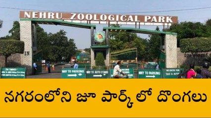 హైదరాబాద్: పుష్ప సినిమా స్టైల్ లో జూ పార్కులో దొంగతనం..!