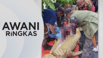 AWANI Ringkas: Mayat nelayan dalam perut buaya