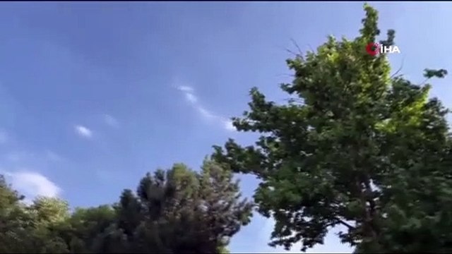 Incendie de forêt à la périphérie d'Uludağ：L'intervention aérienne et terrestre se poursuit