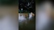 Resident kayaks through Kentucky city as flash flooding hits state
