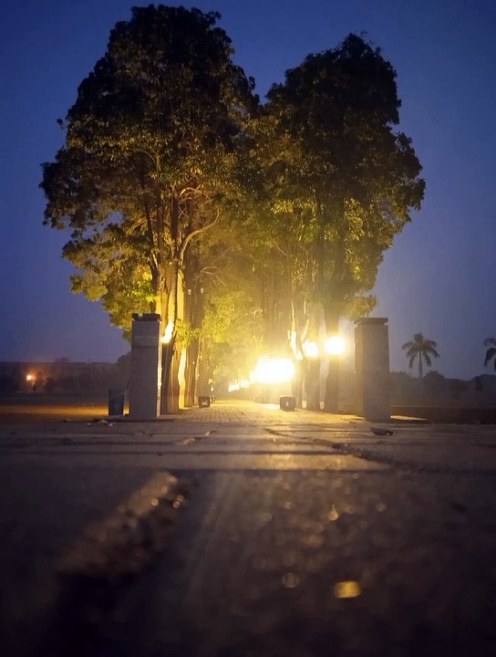 #Poetry #poetry status #poetry Lover