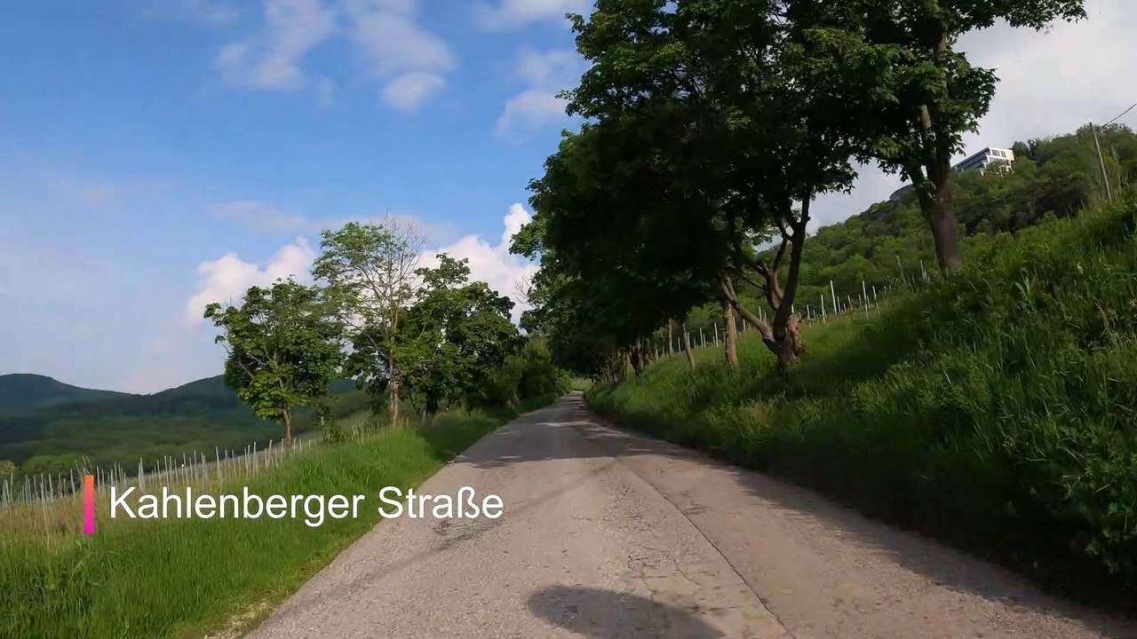 Wien am Rad: Die Kahlenberger Straße hinauf