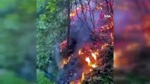 Uludağ'ın eteklerinde orman yangını: Havadan ve karadan müdahale devam ediyor