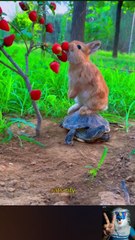 Cute dog compilation 2023 /cute Animals videos