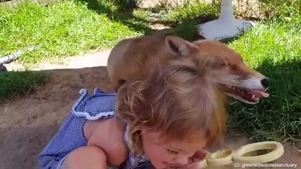 These Animals Found Their Own Way to Say “I Love You Human” - Part 1