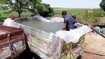 Il a transformé la roulotte en piscine pour ses enfants, accablés par la chaleur à Diyarbakır.
