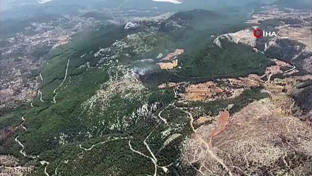 Milas orman yangını kısmen kontrol altında