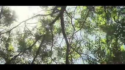 Oranges and Sunshine Bande-annonce (EN)