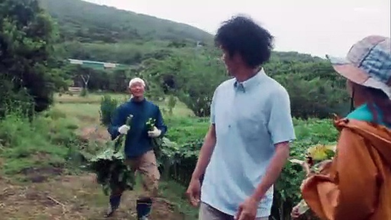 ライオンのおやつ #7 - 金曜 ロード ショー - 金曜 ロード ショー 今日