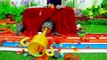 KiKi Monkey filling Bathtub with 10,000 Water Balloons and play with Ducklings _ KUDO ANIMAL KIKI