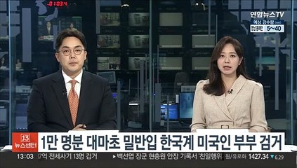 1만명분 대마초 밀반입 한국계 미국인 부부 검거