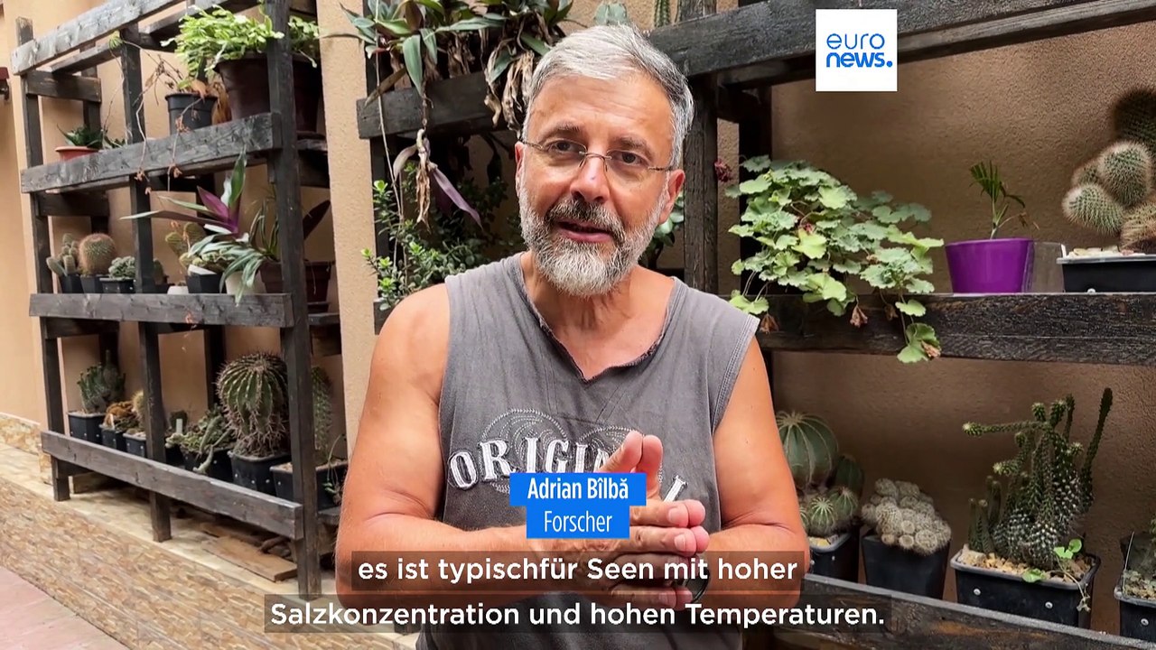 Pinke Schlammkur: Wegen hoher Temperaturen ist der Salzsee rosa