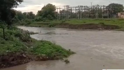 शाजापुर: नाले में दिखा डरावना जलीय जीव, ग्रामीणों में दहशत