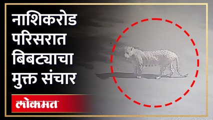 नाशिक रोडच्या जय भवानी रोड परिसरात बिबट्याची एकावर झडप,इसम जखमी