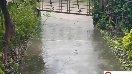 बुरहानपुर में झमाझम बारिश का दौर जारी, 24 घंटे में 7.2 mm बारिश दर्ज