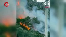 Muğla'da orman yangını: Bölgeye çok sayıda ekip sevk edildi, gece görüşlü helikopter istendi