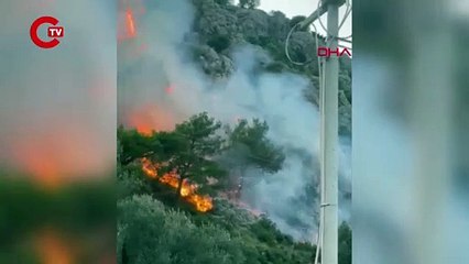 Muğla'da orman yangını: Bölgeye çok sayıda ekip sevk edildi, gece görüşlü helikopter istendi
