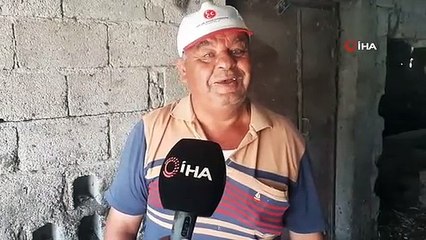 Siyah beyaz doğan manda yavrusu köylüleri şaşırttı