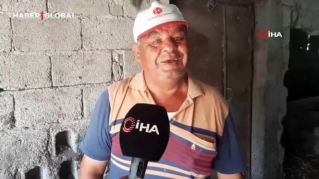 'İnek yavrusu gibi' Manda yavrusu, siyah beyaz renklerle doğdu