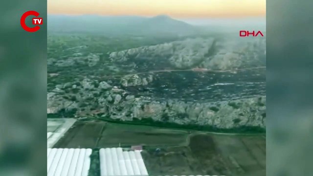 Muğla'daki orman yangını 12 saatte kontrol altına alındı 1 gözaltı