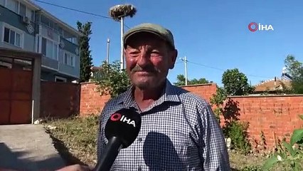 Yaren leylek ve 4 yavrusu vedaya hazırlanıyor