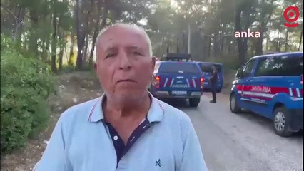 Akbelen Ormanı'na sabah baskını! "Kesim motorları ile girdiler, çamları kesmeye başladılar"