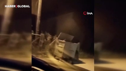 Ayı seyir halindeki otomobilin önüne atladı: İçindekilerin aklı çıktı