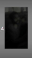 New daliymotio tiktok video vairal tarnding