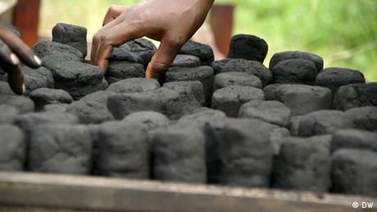 Producing biochar and organic fertilizer in Cameroon