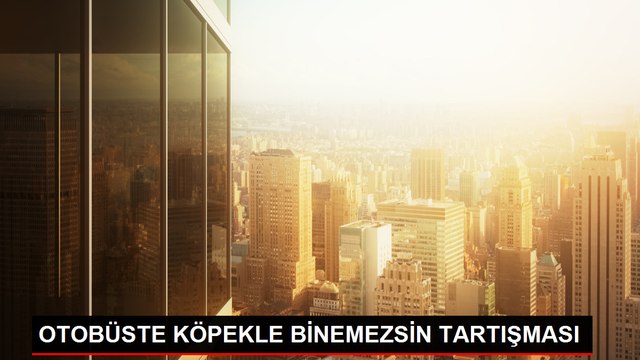 Köpeğiyle Otobüse Binmek İsteyen Kadın Şoför Tarafından Otobüsten İndirildi