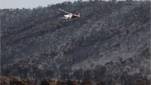 Feuerhölle in Griechenland: Eskalierende Waldbrände machen zahlreiche Evakuierungen nötig