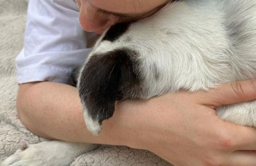 'This is a really hard day': Billie Eilish mourns loss of beloved childhood dog