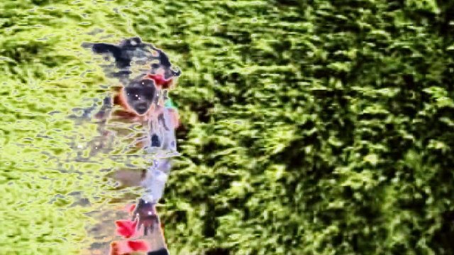 Gefrin - I was born on planet earth