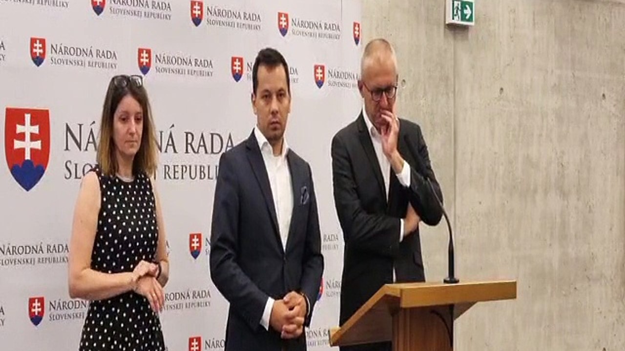 ZÁZNAM: Brífing strany Demokrati