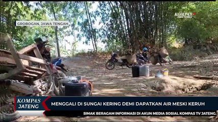 Menggali di Sungai Kering Demi Dapatkan Air Meski Keruh