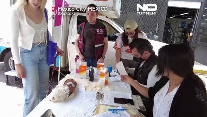 Dia Mundial do Cão comemorado na Cidade do México