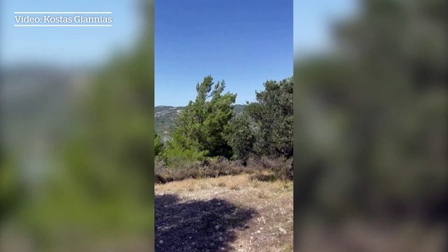 Wildfires force Rhodes tourists and locals to evacuate