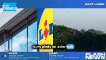 Lidl dévoile l'ensemble de jardin le plus attractif à un prix abordable !