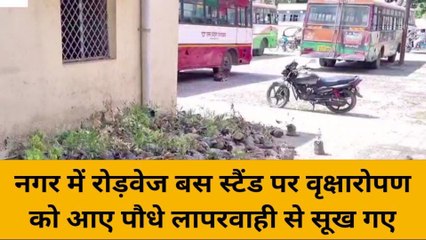 बदायूं: रोडवेज बस स्टैंड पर खानापूर्ति हेतु वृक्षारोपण कर पौधे लगाए जबकि सर्वाधिक पौधे सूख गए