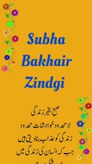صبر شکر اور محبت بہت بڑا درجہ ہے